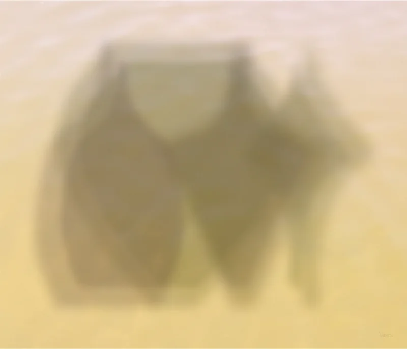 Blurred horizontal vase forms in brown and gray tones against a pale background, creating the impression of architectural shadows or landscape elements seen through fog